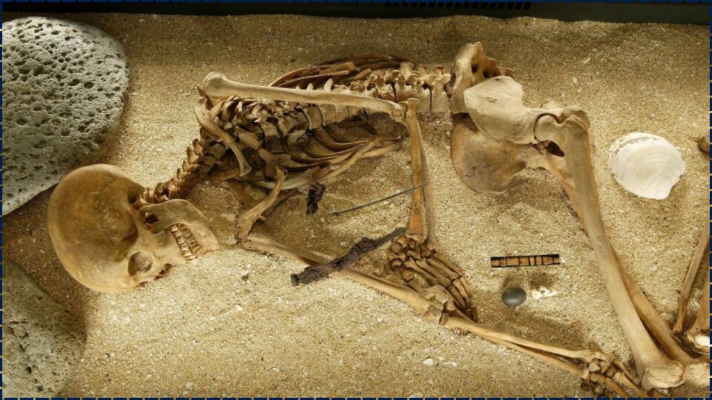 ADN Antiguo Podría Cambiar La Historia De Los Primeros Habitantes De Islandia 1 ADN Antiguo Podría Cambiar La Historia De Los Primeros Habitantes De Islandia