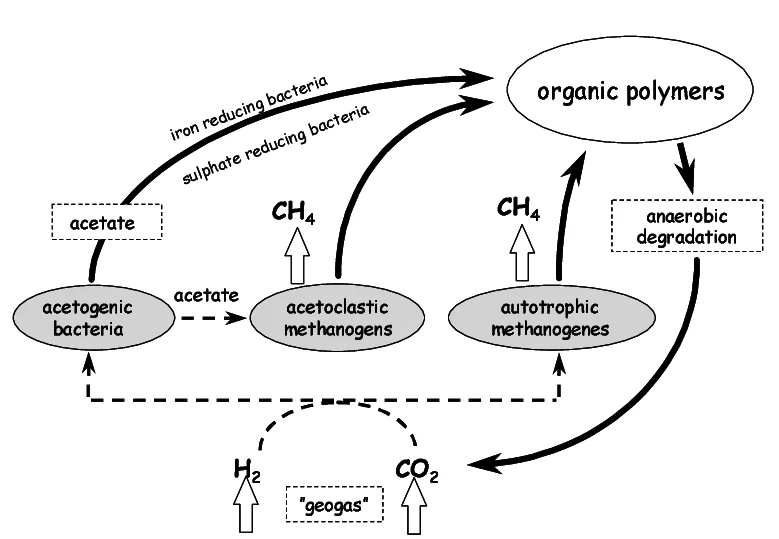 Ciclo energético de microbios en la biosfera profunda