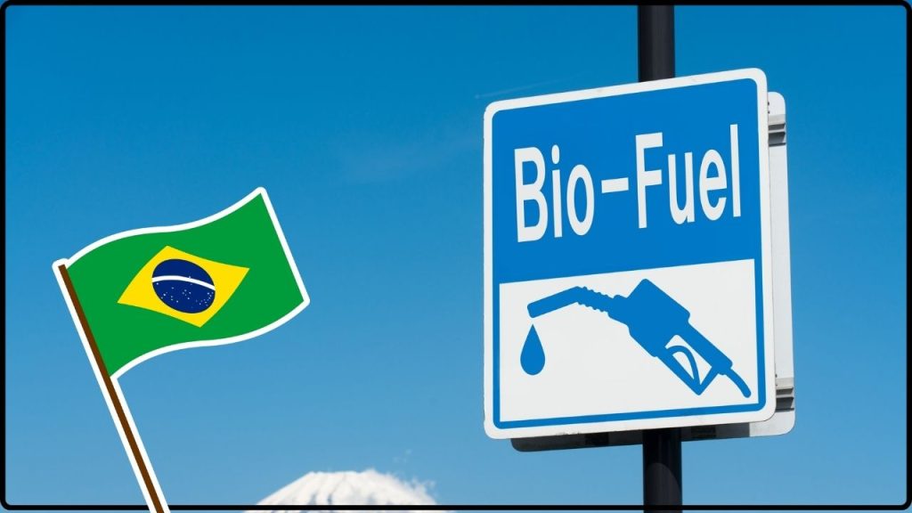 Ciudad De Brasil Prueba Un Nuevo Biocombustible Para Reemplazar El Diésel