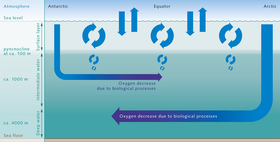 Distribución del oxígeno en el océano