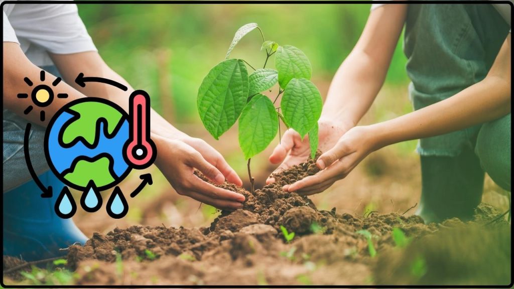 Plantar árboles no es suficiente el error que podría estar frenando la lucha contra el cambio climático