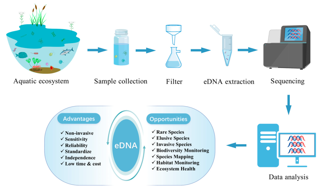 Visualizaciones de biodiversidad y ecosistemas con eDNA