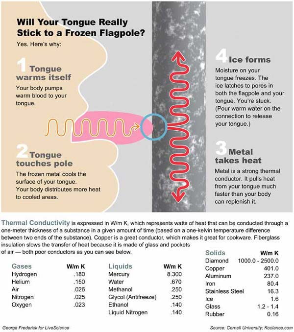 Por Qué No Debes Lamer Un Poste De Metal En Invierno Y Qué Hacer Si Ocurre 2 Why Your Tongue Sticks to Frozen Metal