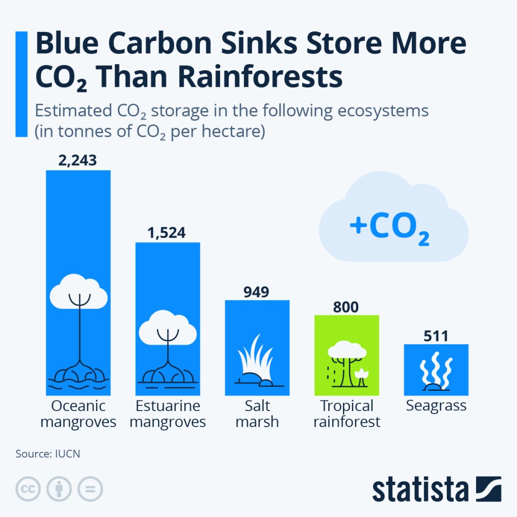 almacenamiento de carbono por ecosistema