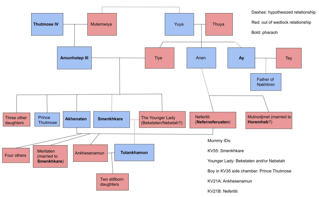 El Enigma De Amarna: ¿El ADN De Akenatón Tenía Un Origen Divino? 3 Reconstrucción del árbol familiar de Tutankamón