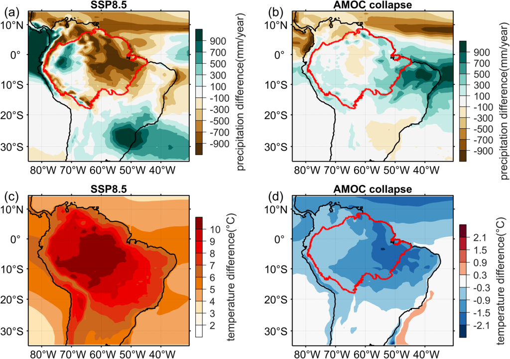 Científicos alertan sobre el posible colapso del AMOC y su impacto en el clima global 2 Possible colapso del AMOC
