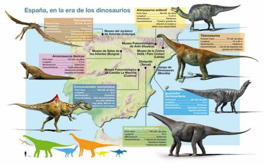 No es broma: Hallan pruebas de que los dinosaurios realizaban rituales de apareamiento sorprendentes 3 Implicaciones para la evolución