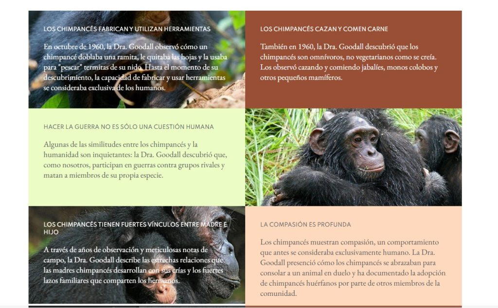 La Primera Guerra De Chimpancés Registrada Duró Cuatro Años Y Terminó En Destrucción Total 2 El Papel de la Observación Científica