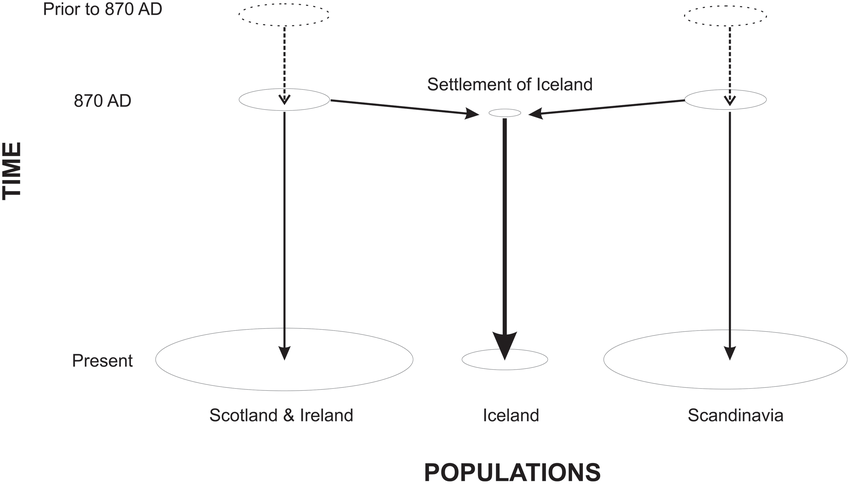 ADN Antiguo Podría Cambiar La Historia De Los Primeros Habitantes De Islandia 2 Diferencias entre los colonos y los islandeses actuales