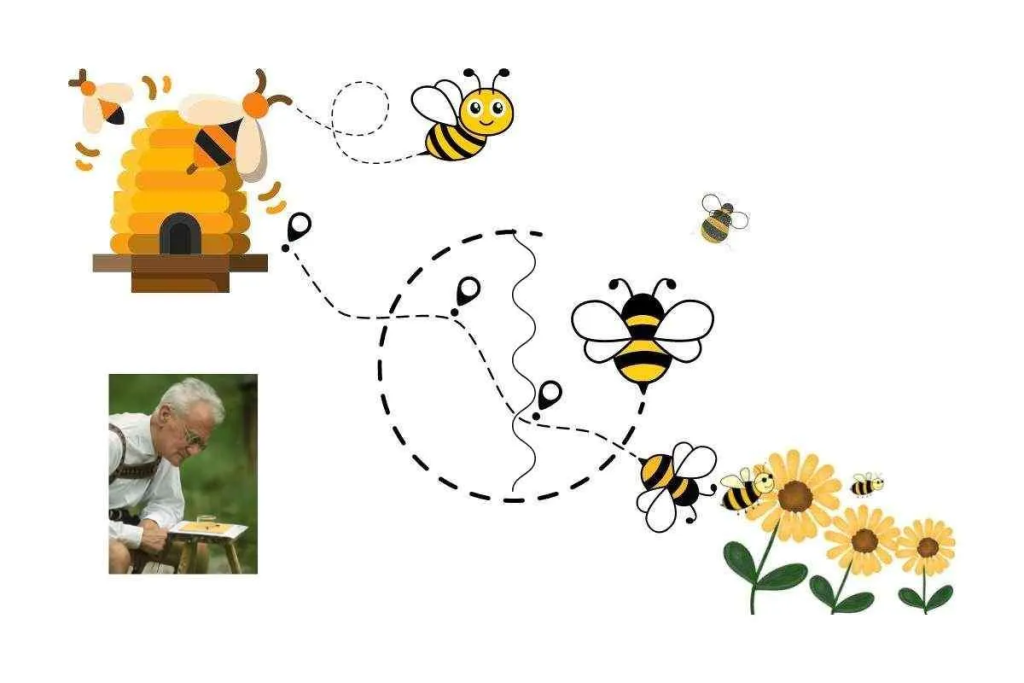 Cazadores De Miel Y Aves En Mozambique Comparten Un Lenguaje Con Dialectos Únicos 3 Implicaciones científicas y culturales