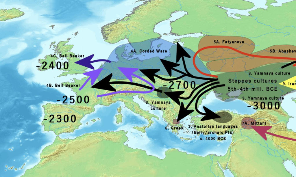 La importancia de la línea sobreviviente