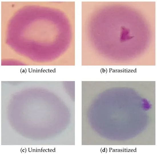 Desafíos y próximos pasos