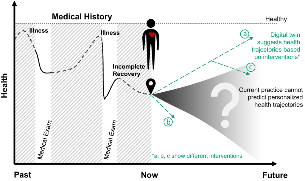Qué es un gemelo digital del corazón