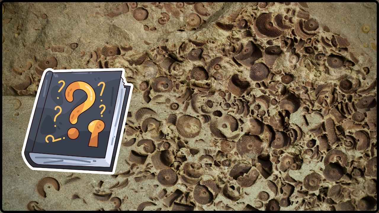 Un Misterio De 100 Millones De Años El Fósil De La “Hormiga Del Infierno” Revela Nuevos Secretos