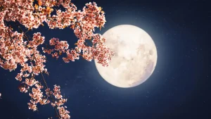 Cómo Ver La Luna Rosa De Abril